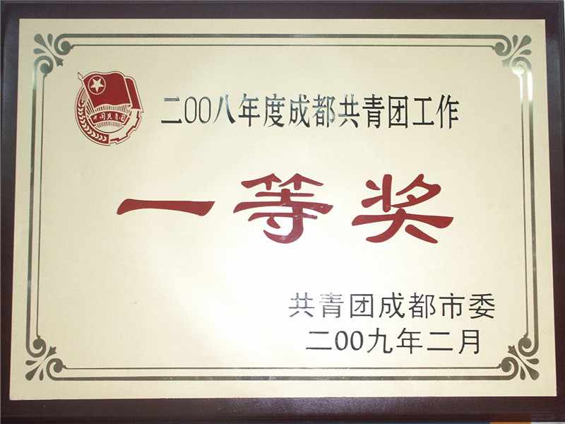2008年共青團工作一等獎